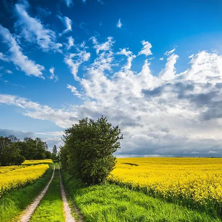 Apartamento Strandperle, App 3