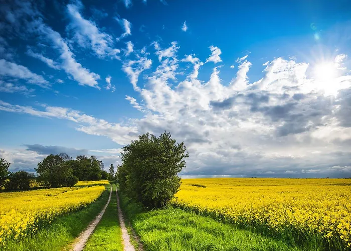 Apartamento Strandperle, App 3